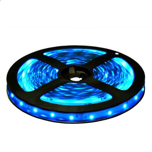 GLS-2835-60-4.8-12-IP65-B